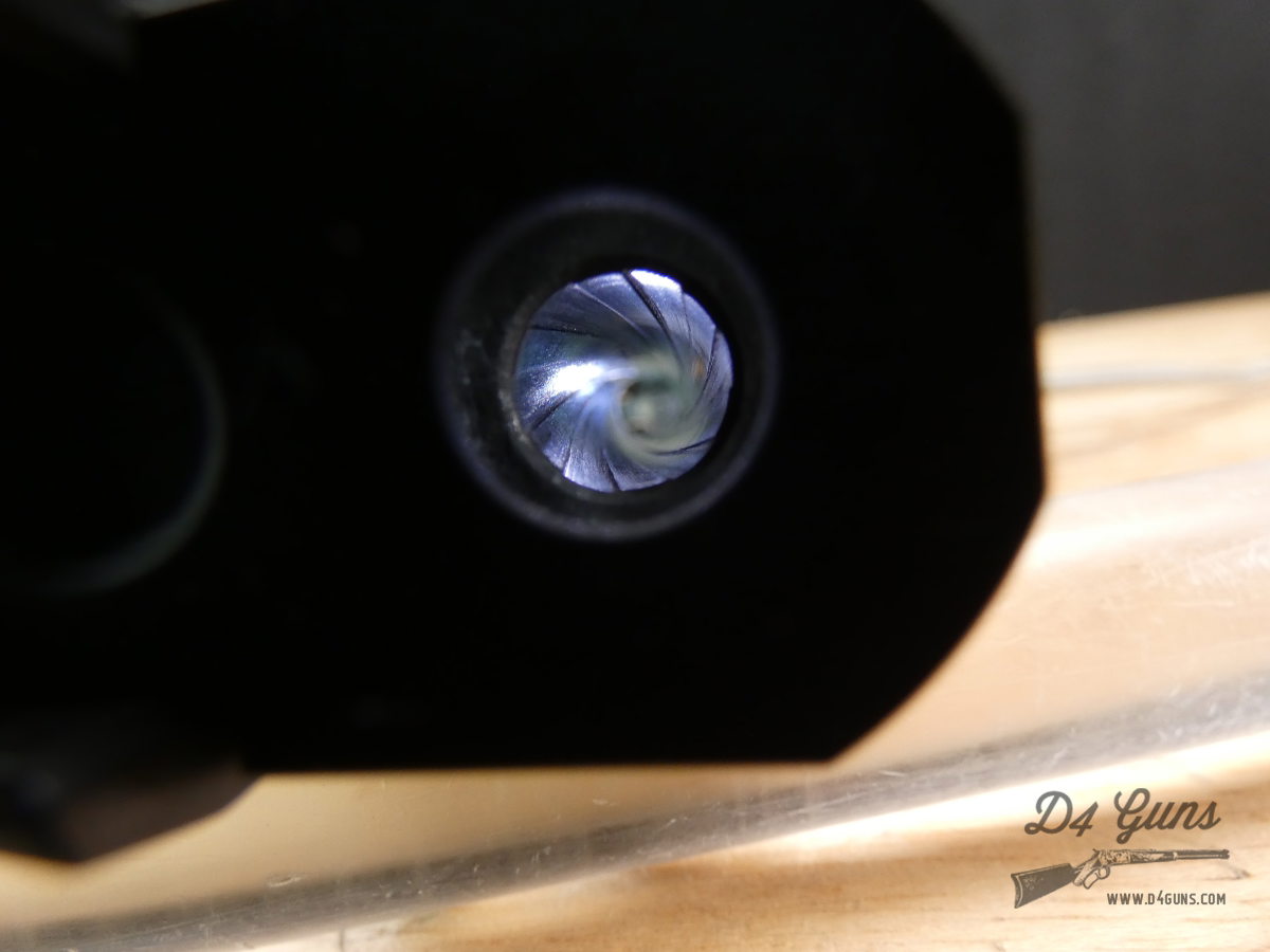 Staccato HD P4X 2011 - 9mm - DLC Compensated - Holosun HS507C + Mags - C -img-31