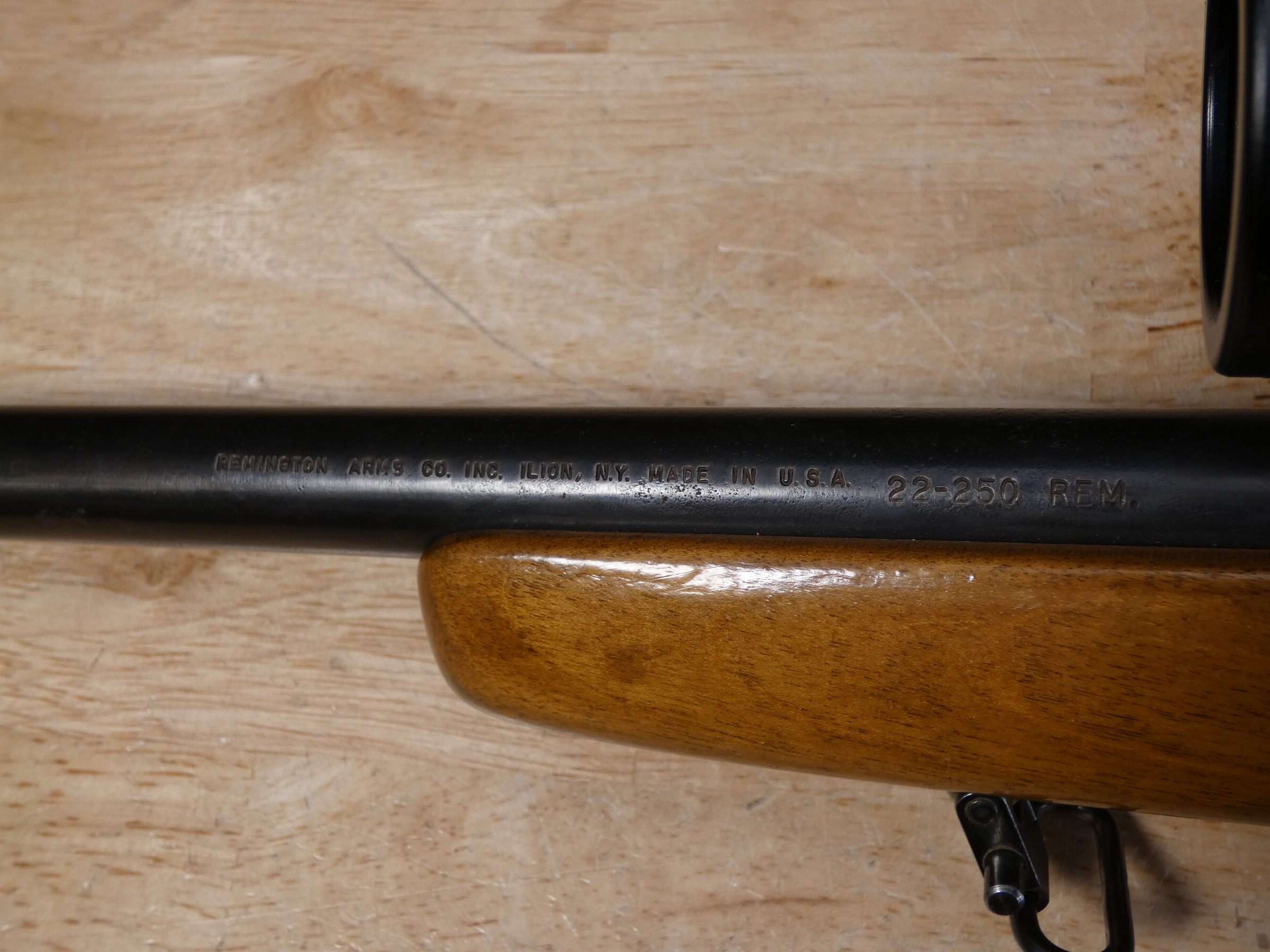 Remington 788 - .22-250 Rem - Bolt-Action - Varmint Rifle - w/ Tasco Scope-img-28