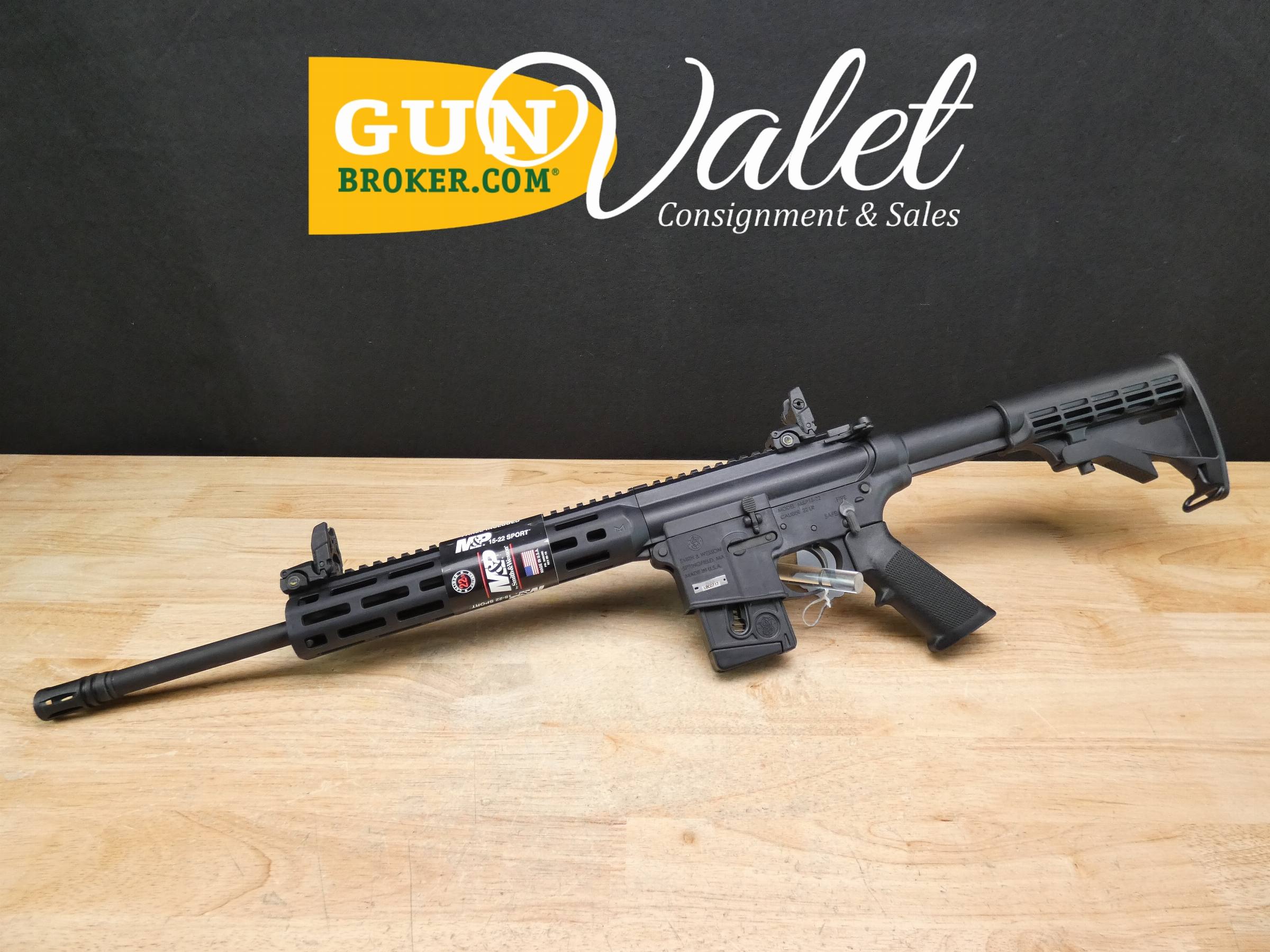 Smith & Wesson M&P15-22 Sport - .22 LR - w/ Mag! - S&W M&P AR Plinker-img-0